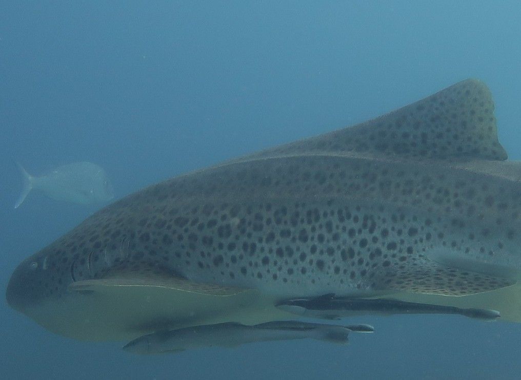 ca0b3b29-7ad1-40b7-ab90-28097e99080e