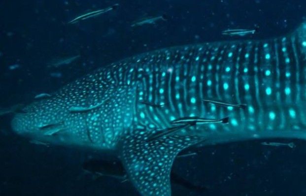 fc8d05ab-b604-4417-87c4-84572ca6c182