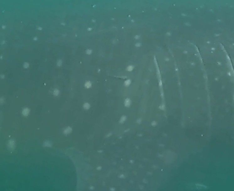 3e522a6a-9238-4db7-b594-1b83504c2450