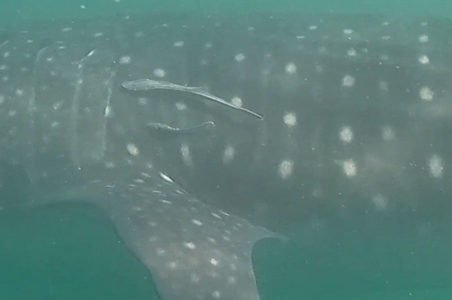 3e522a6a-9238-4db7-b594-1b83504c2450