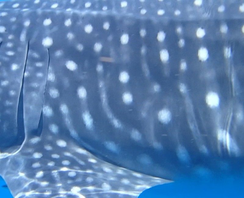 6e8999d6-9c7d-456a-b0eb-d6fa578b858a