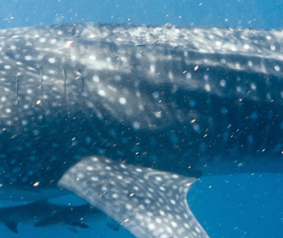 0d506037-2226-4392-861e-6dd8d1a7696b