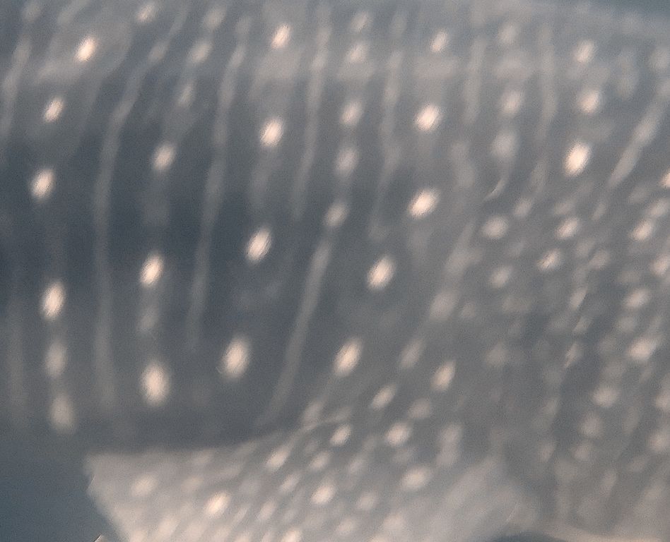 b2a6a114-95f5-417a-b511-50f3a3c9afdc