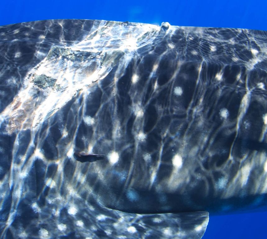 b63dfdbe-597d-4cf6-a1c8-48ecb9e90789