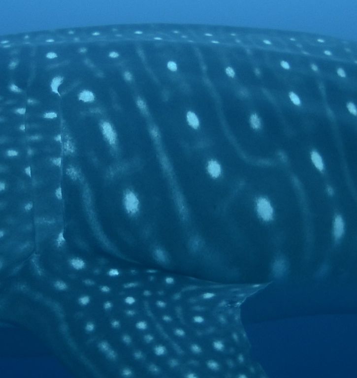 f14cf7b7-ba20-4da3-aec9-fa3181136eb4