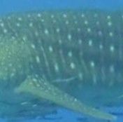 c81c20a9-2b6b-46d1-9b66-7fc8e123d78c