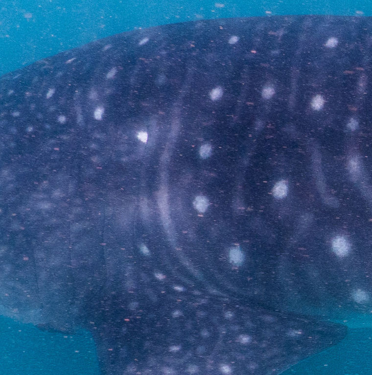 581ad61c-4138-4af7-899e-9d0422cd5993