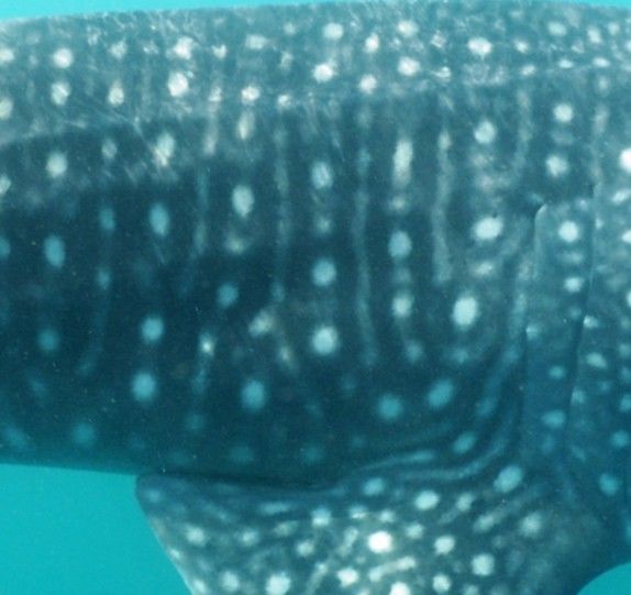 54e3d2af-5e24-4dfb-ab96-ff672d792227