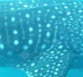 50f22b07-b668-455d-ac57-51578ae51ce7