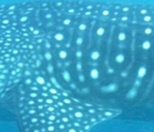 50f22b07-b668-455d-ac57-51578ae51ce7