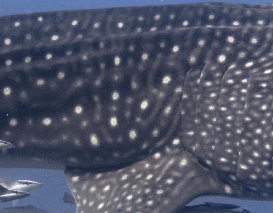 88838124-d879-4512-b61a-c29bfaf57b17