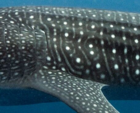 5f551a0b-ed54-4e85-86a8-fe70dd82bddf