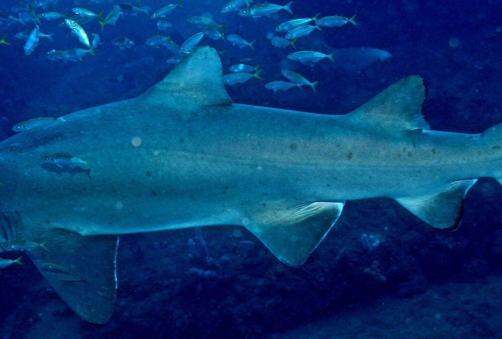 c201feae-bccd-43fb-bd48-e1c087aa7e00