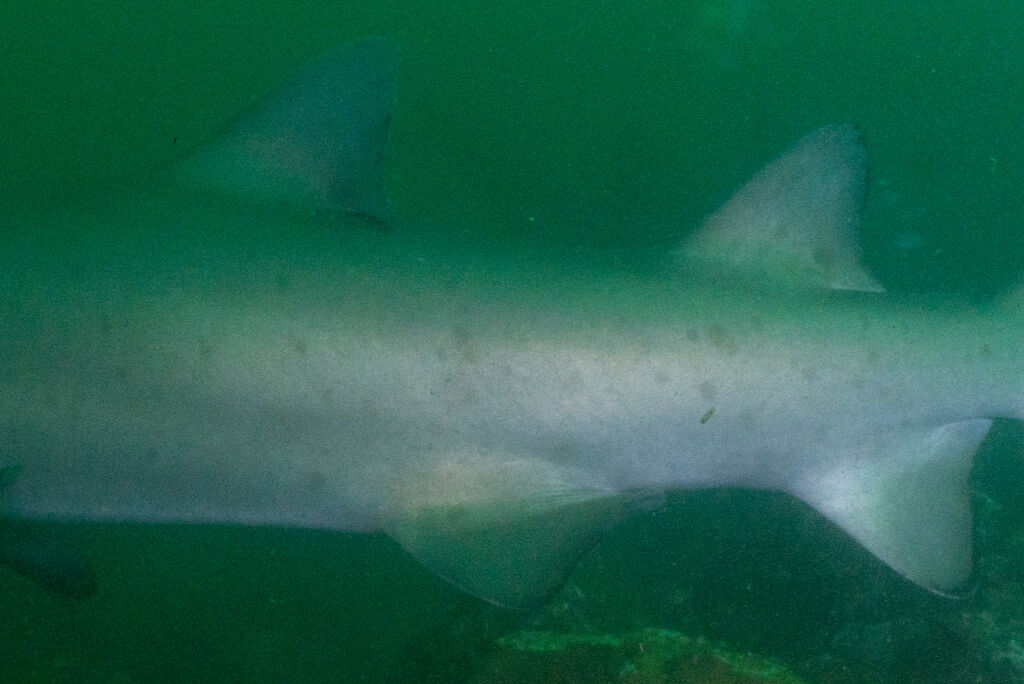 6bb48e3e-df69-429c-b41c-0d8277729d98