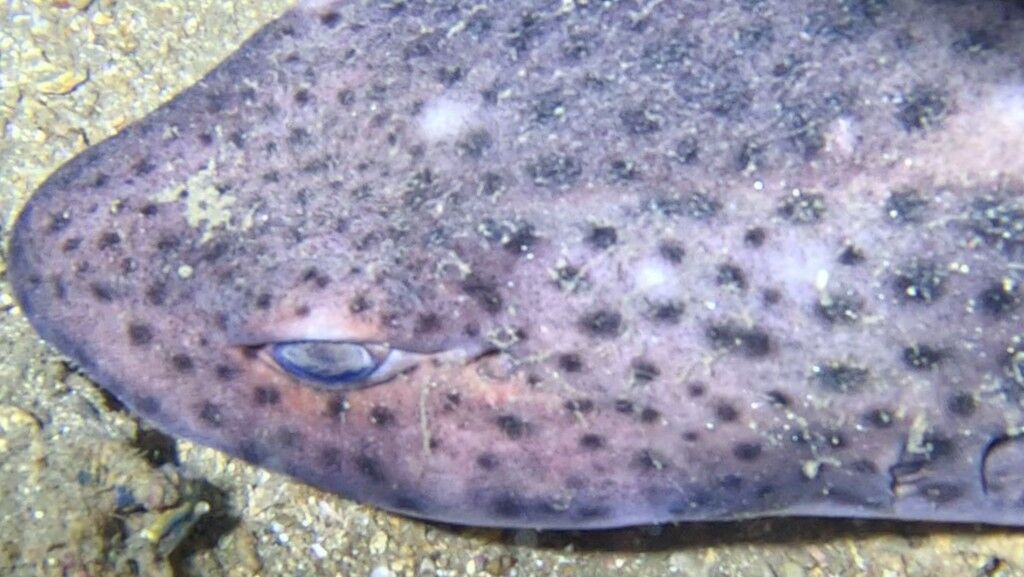 8c54c7fb-a162-4a57-9763-b70330376d9b