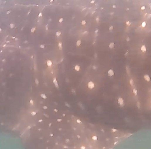 3a8a7008-02ce-4dd6-bc20-8830378e2f6c