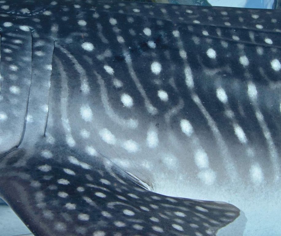 fa55a489-a5d6-47d5-8aec-c60fdeac08bd