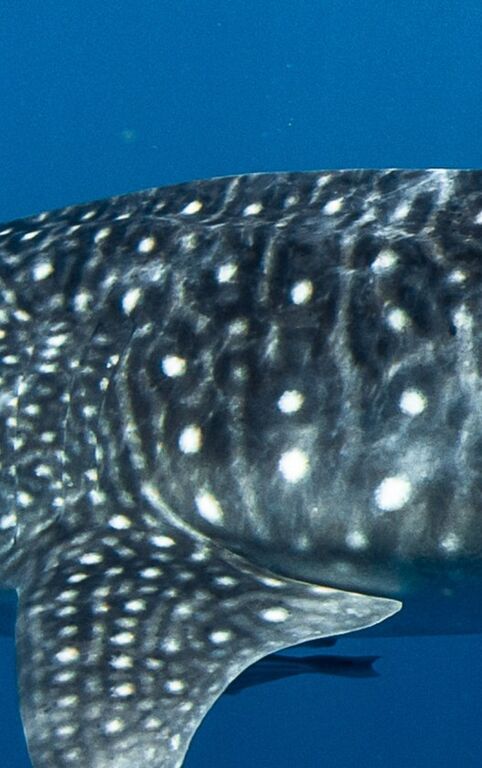 fdbb902b-0f8d-43c9-ae7f-691c09435ff8