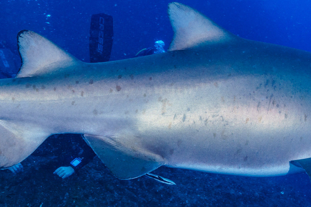 da730efc-1416-4573-b5cf-85b594ef877a