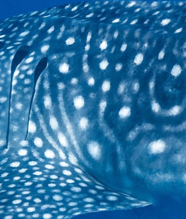 5ca0b4ee-97fa-4915-a62d-d2482a4ef4a9