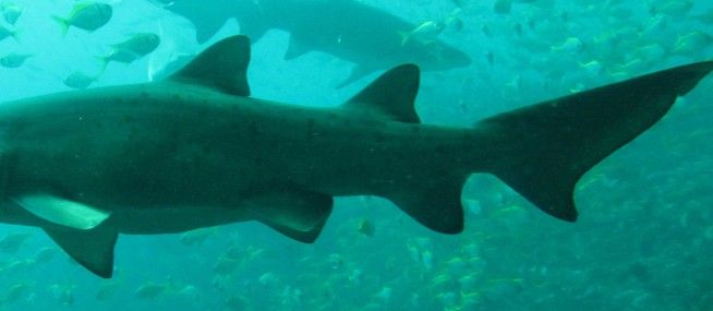 a887188d-eeeb-453a-8d63-dac2d134bdc2