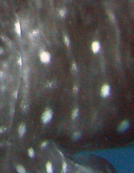 d526c2c6-a2be-44d0-afef-df4f7f3bd259