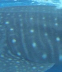 0ada49e4-35b5-4614-a50b-6c6925c1ae5b