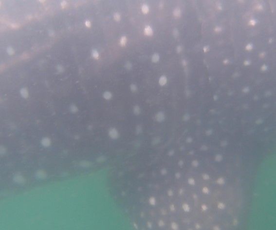 637be410-ce7a-4967-bf77-9af4fca4a77e