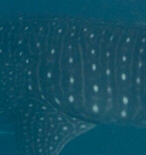 7cc0202f-5981-403e-b6d1-31d5d2f6c6c2