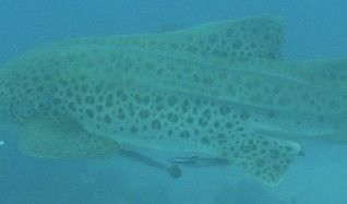 7ae45c62-645a-461a-abd8-f81b61ccab6d