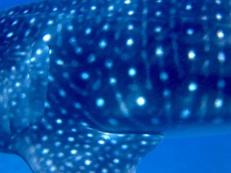 98b26685-9154-49ca-9aaf-d938d9d7fcec