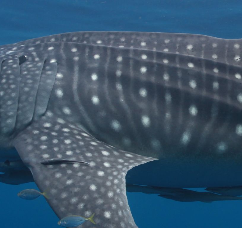 821d7b4a-7075-42b4-8caa-f392e4468b25