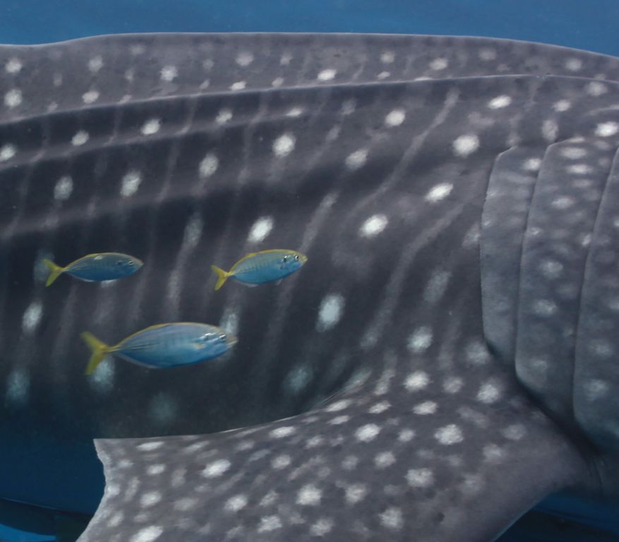 821d7b4a-7075-42b4-8caa-f392e4468b25