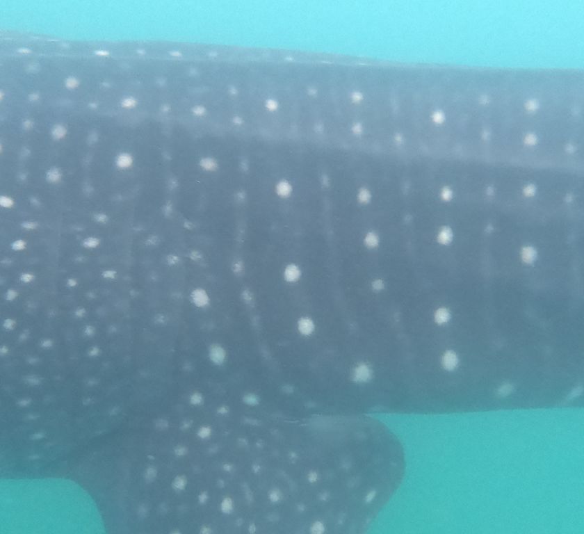 adba08f3-9e2d-4bf8-8339-86c5c805df5d