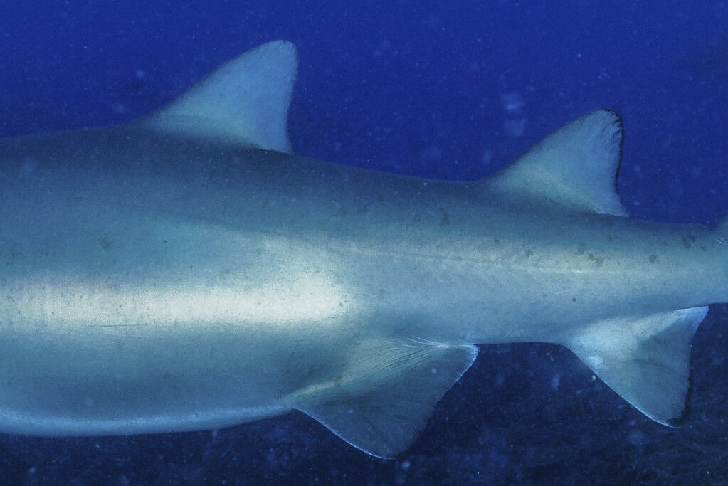 ab0f6930-fd8a-4bad-9959-130c11825e4b