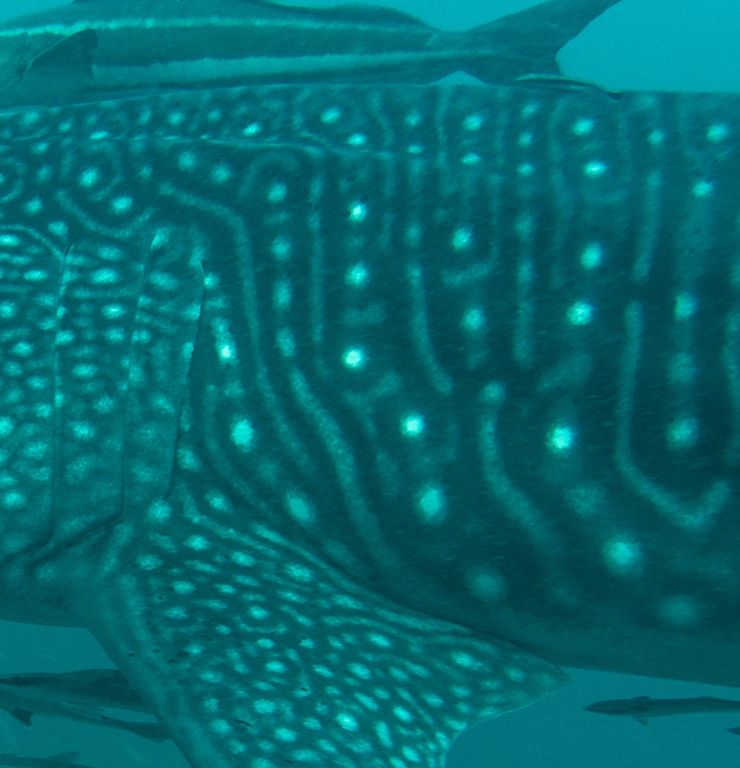 b3d3cb2a-f29a-42e2-af00-b6e9fbc3be5d