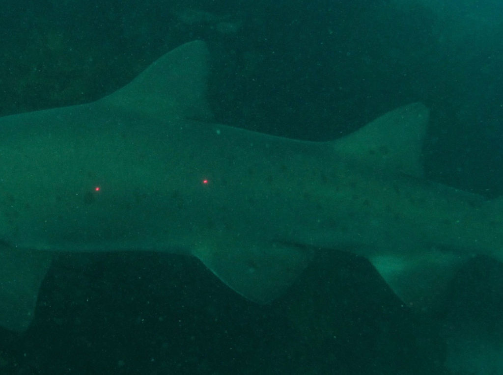 413eb5e5-0cef-4abd-93c8-40e4ae08c6ae