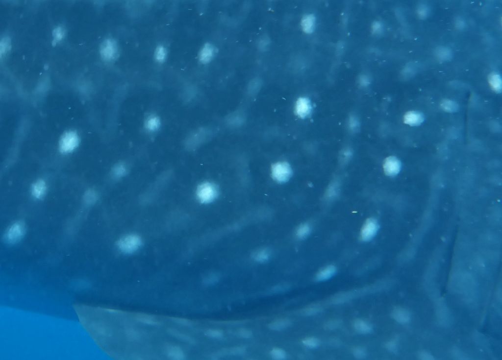 41c525fd-476e-406e-92e3-ba2611511133