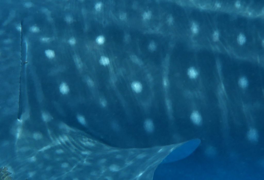 41c525fd-476e-406e-92e3-ba2611511133