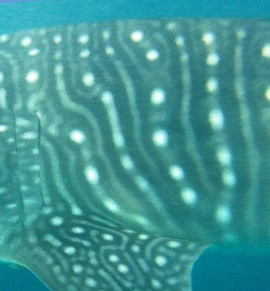 54611aad-a043-4889-9427-577ba9f5f3b3