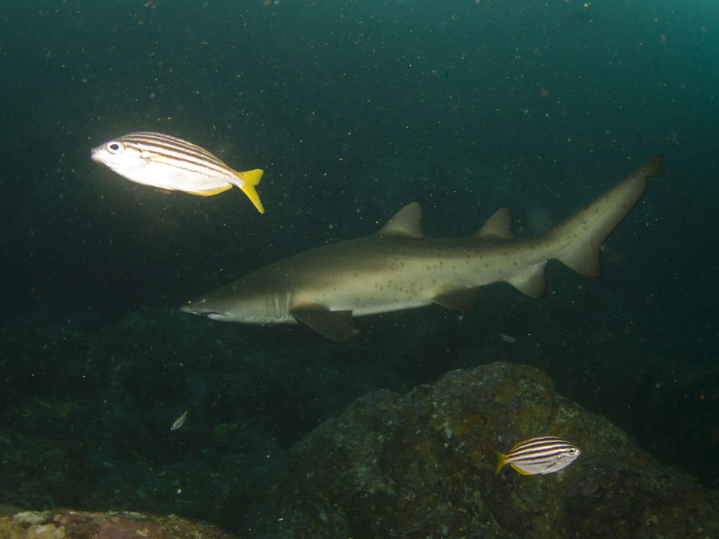 921fb1c7-086c-4a1b-b2fe-8d047e84bc42