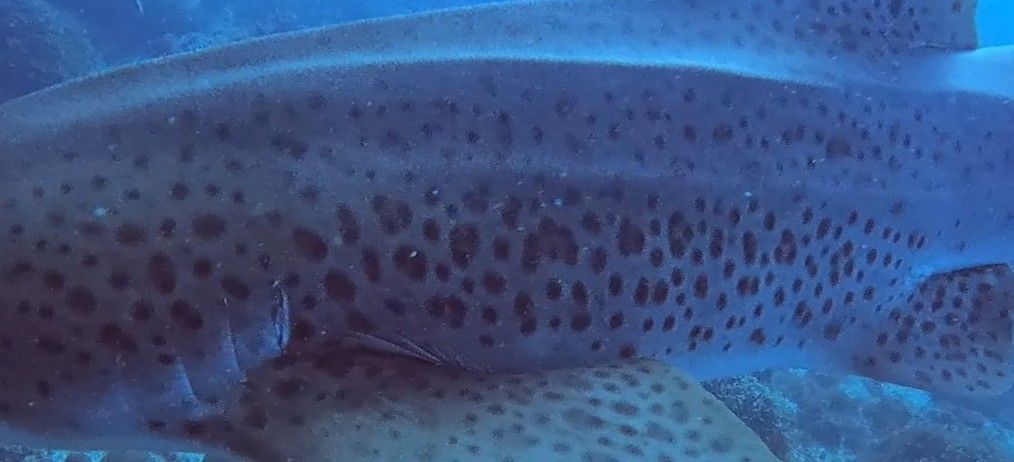 d9cb1ec6-7885-427b-a29c-3c6b77dc72b7