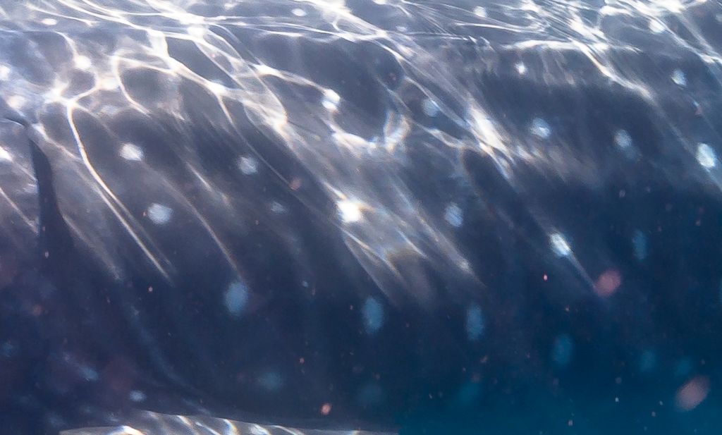 84d5aa59-86d6-4f95-aab4-0b88bcc16855