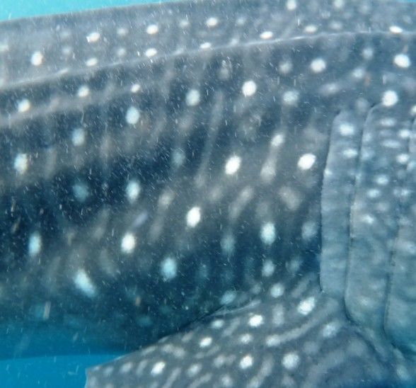 e28b2e31-7192-45ed-a0fb-6013c976f22c