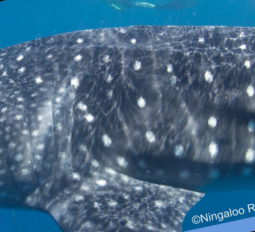 e54c9a8e-3cd8-4c0b-96a2-37d9866194f9