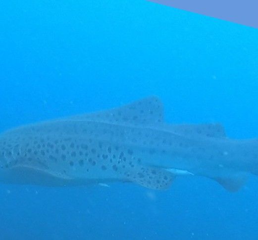 b81a47cb-bd61-4007-a15b-222ea21cd25a