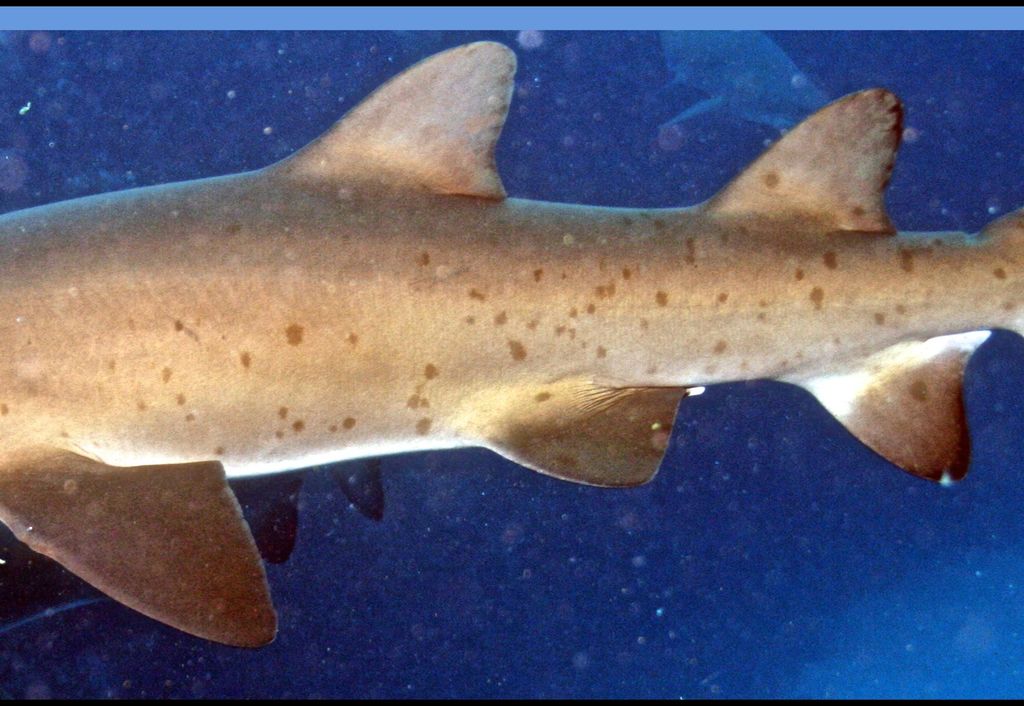 68c46375-deab-4154-abba-c41ecf2b3ac8