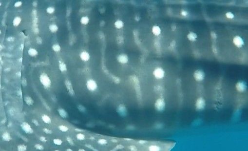 2d333152-e224-4acc-a43a-49cc3bb9357f