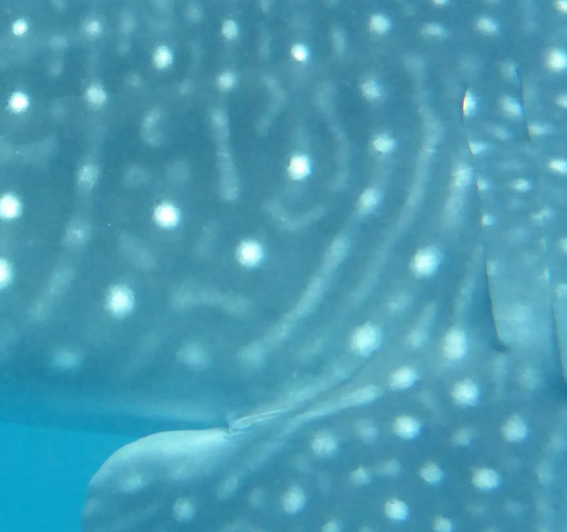 319c831f-ead2-4d2f-b8a7-3b8fb4c7dbba