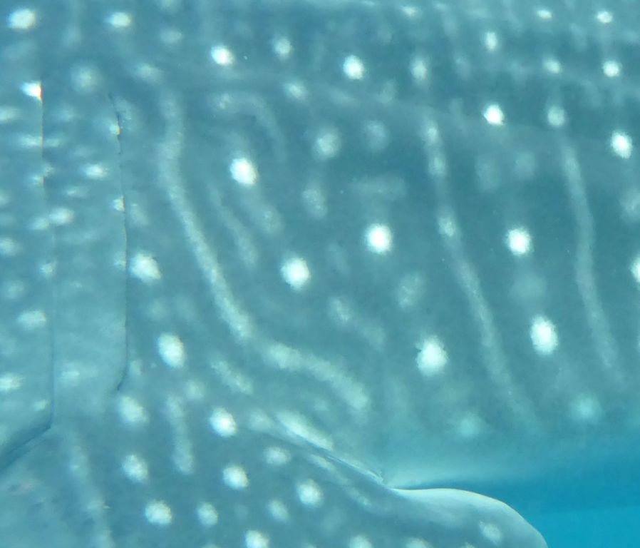 319c831f-ead2-4d2f-b8a7-3b8fb4c7dbba